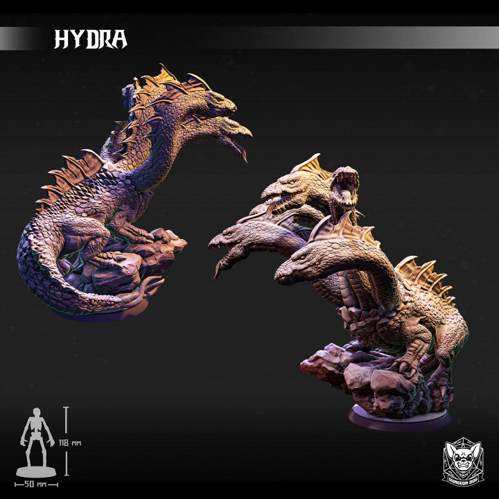 Hydra