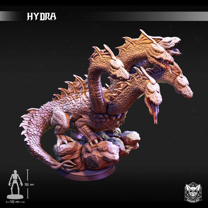 Hydra