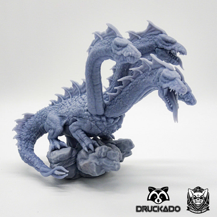Hydra