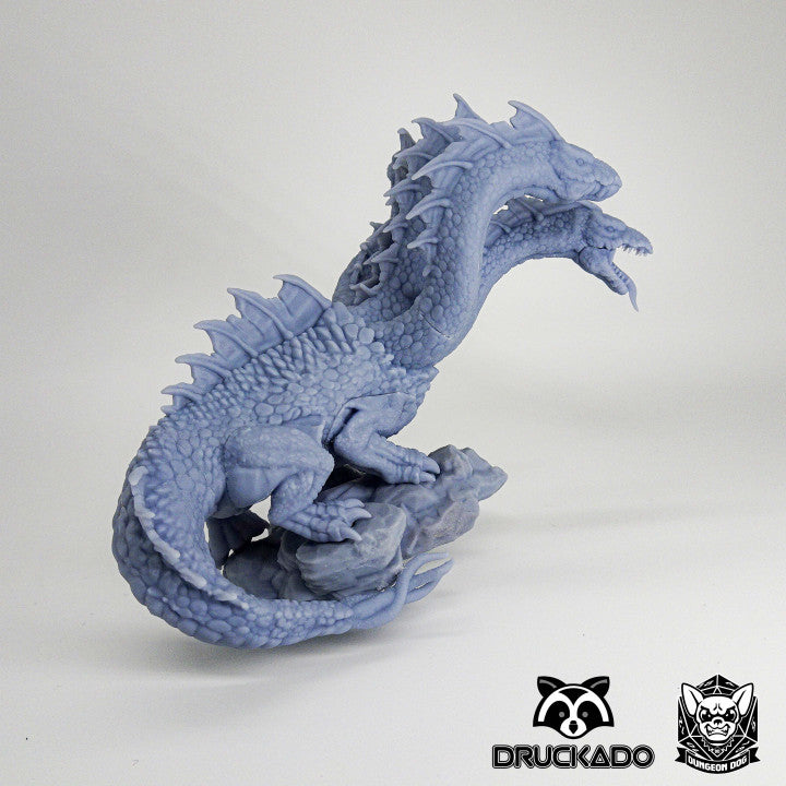 Hydra