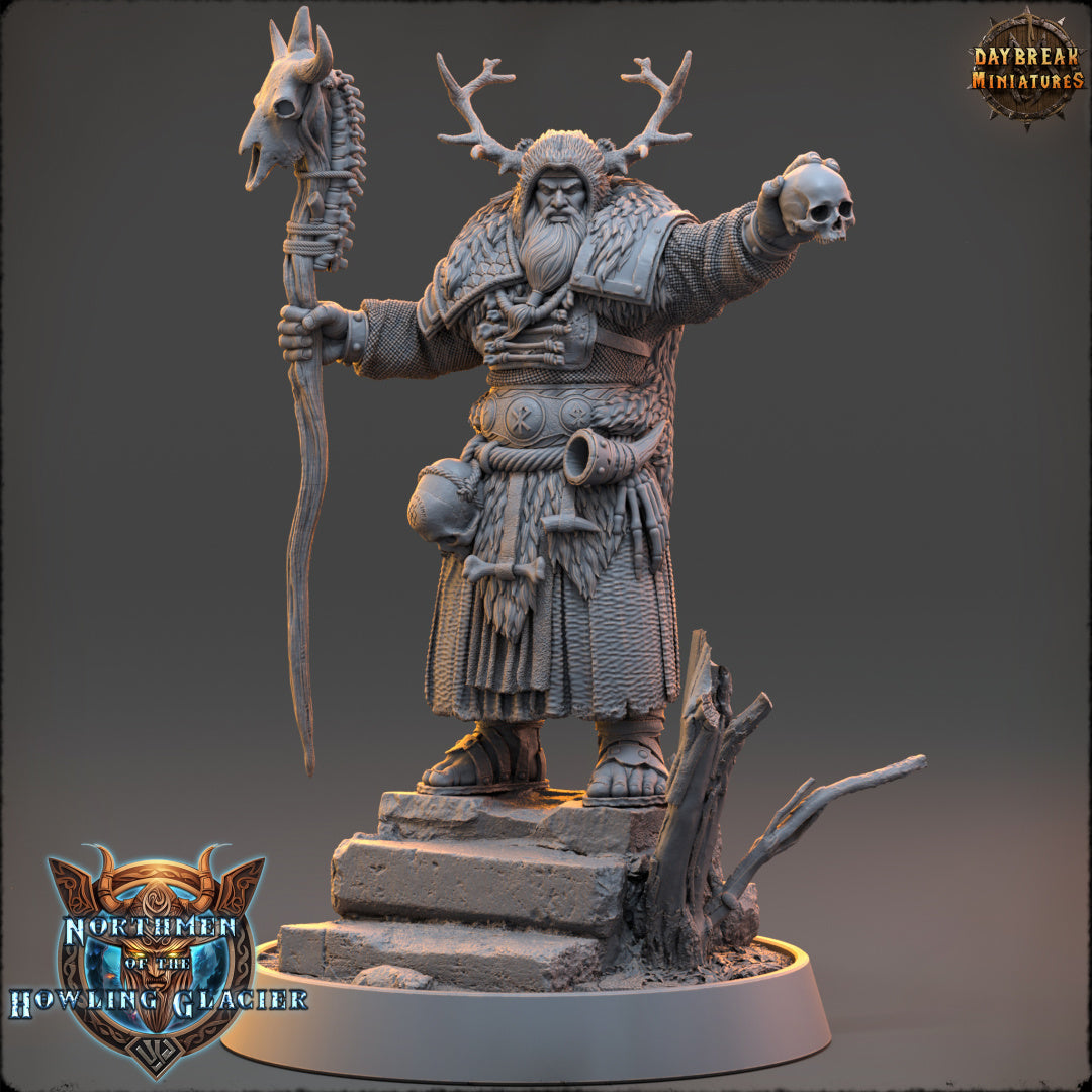 Vikings - Northmen of the Howling Glacier