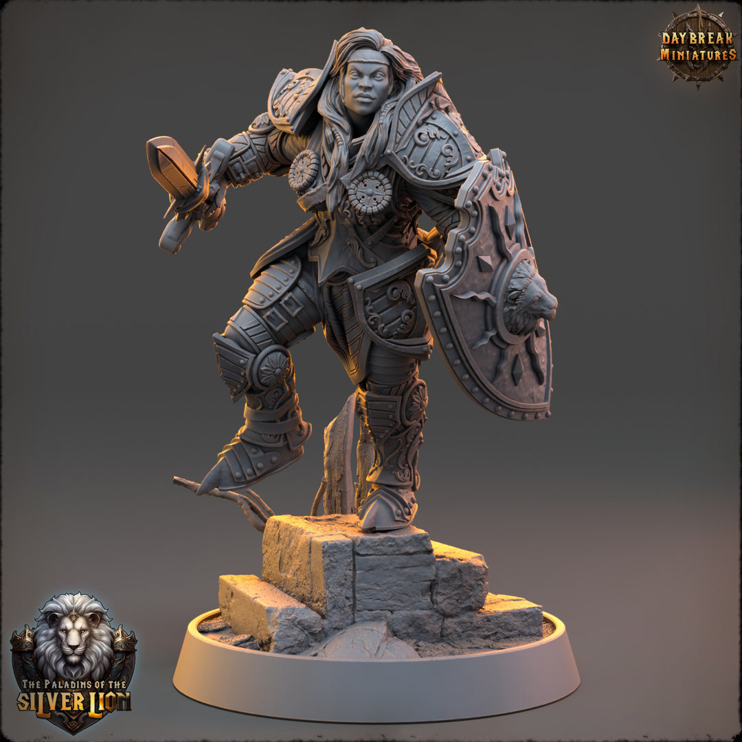The Paladins of The Silver Lion