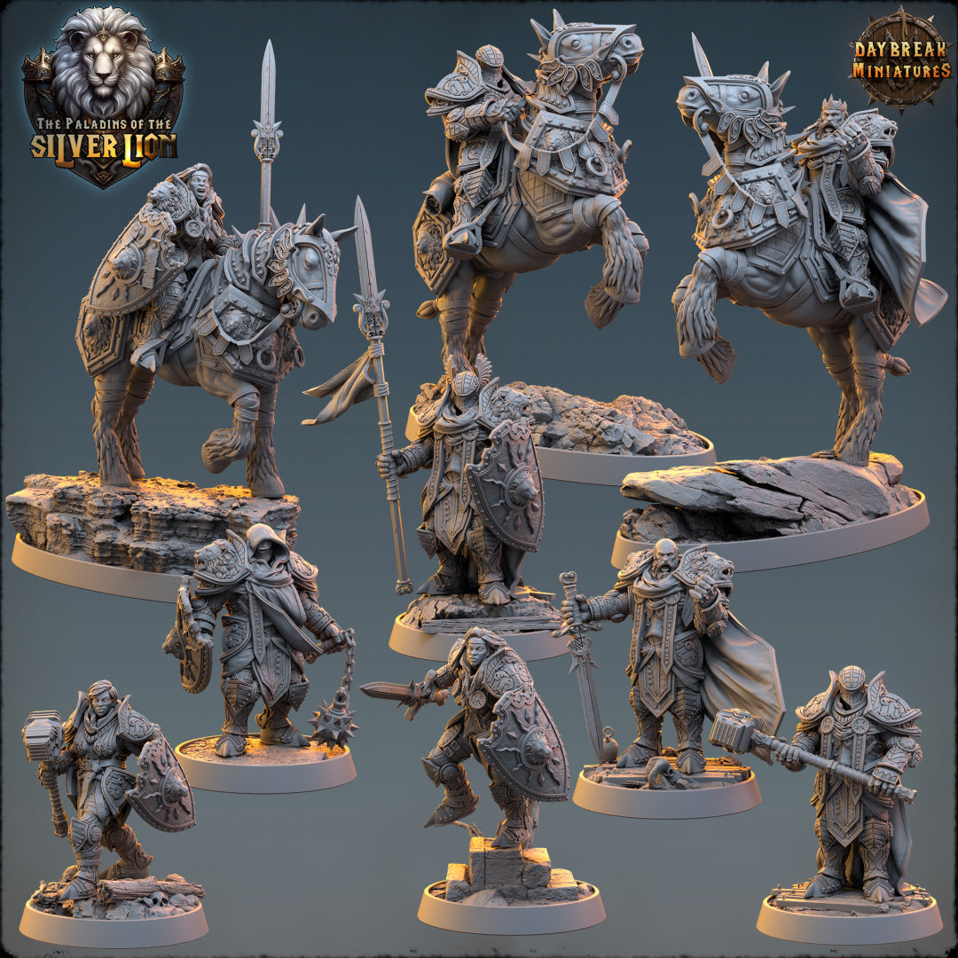The Paladins of The Silver Lion